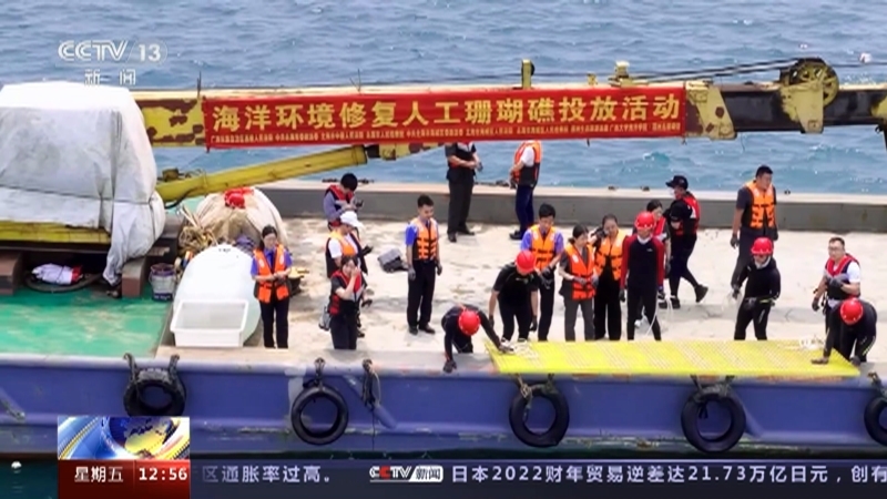 法治在线 《法治在线》 20230421