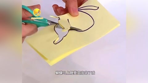 音乐涂鸦乐园 叠袜子比赛绵羊获冠