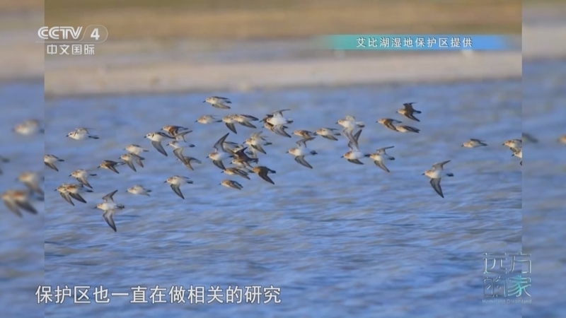 远方的家 《远方的家》 20250411 中国自然秘境 绿洲与荒漠的对话