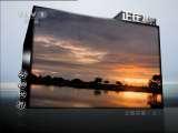 动物世界 动物世界 2011年 第101期