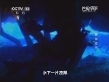 地理中国 《地理中国》 20141201 黑海“幽灵”