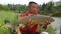 游钓中国 第二季 第2集 渔行万佛湖