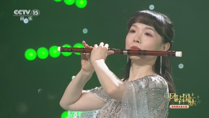 风华国乐 《风华国乐》 20240527