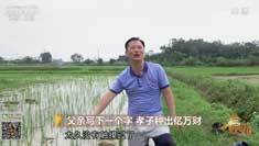 致富经 [致富经]父亲写下一个字 孝子种出亿万财 20180919
