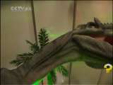 芝麻开门【央视】 芝麻开门 2010年 第129期