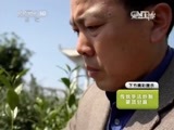 走近科学 《走近科学》 20150407 茶杯里的秘密——寻鲜记