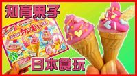知育果子冰淇淋食玩