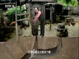 地理中国 《地理中国》 20180301 秘境追踪·呈坎迷宫