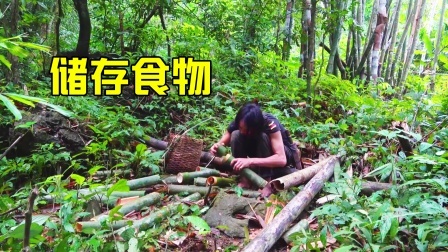 原始丛林人苏门答腊 第二季 东南亚丛林生存冒险，这个冬季出乎意料，有点难过