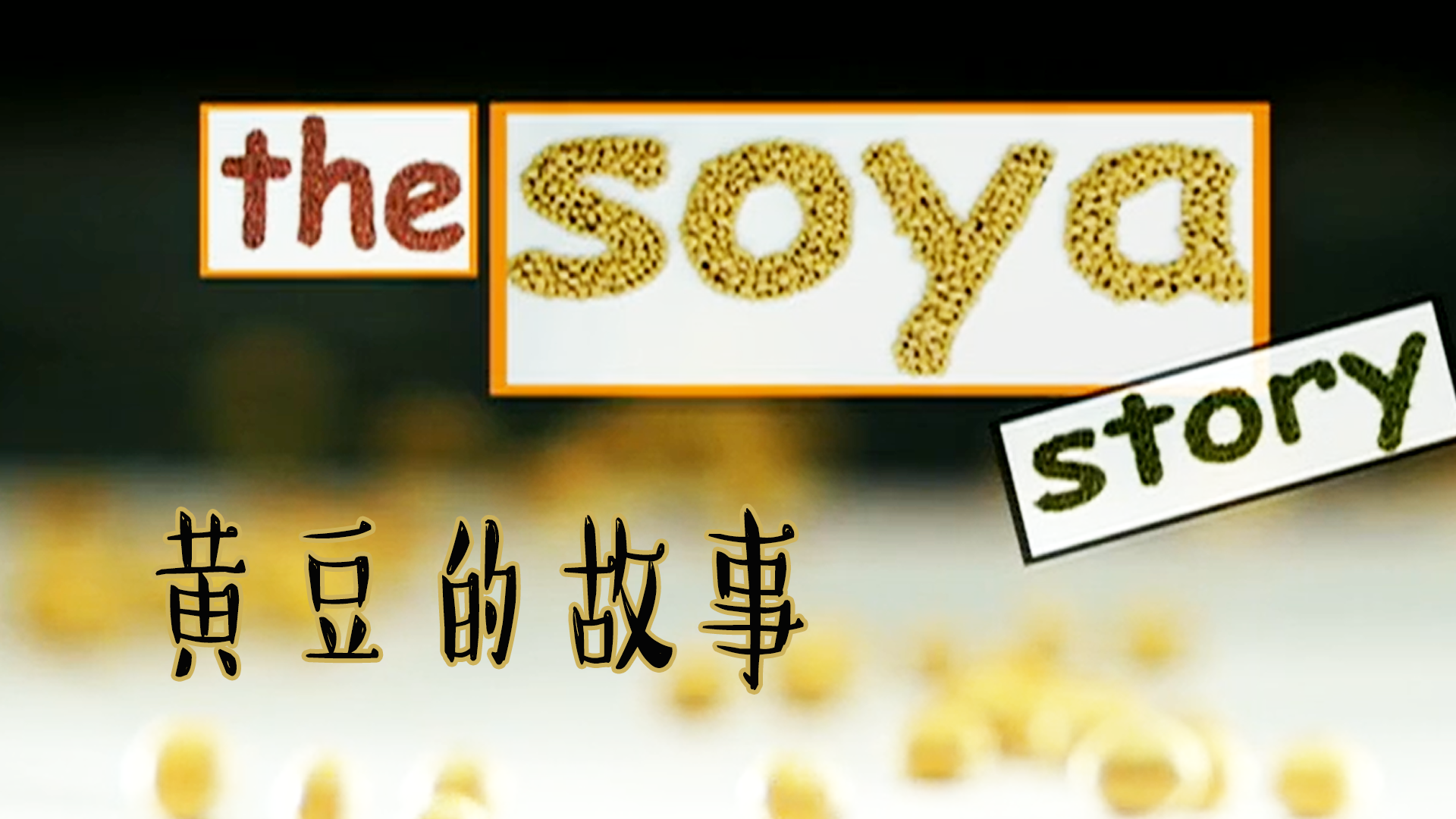 黄豆的故事 1