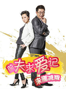 前夫求爱记DVD版