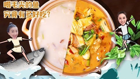 路见不平来碗Fun2019 中国最壕餐馆竟用毛尖养鱼？一天只卖一条，有钱都吃不到！河南8
