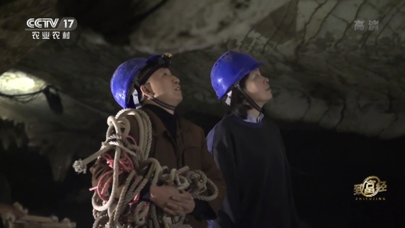 《致富经》 20210307 “冒险王”溶洞探新财