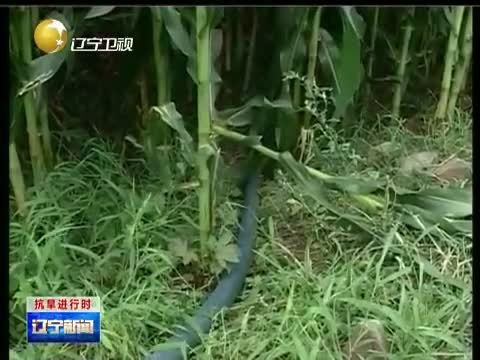 辽宁新闻 《辽宁新闻》 20140806