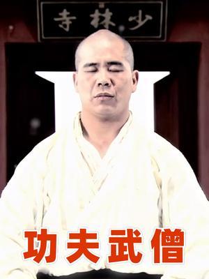 功夫武僧 海报