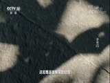 探索发现 《探索发现》 20180413 讲究（三）