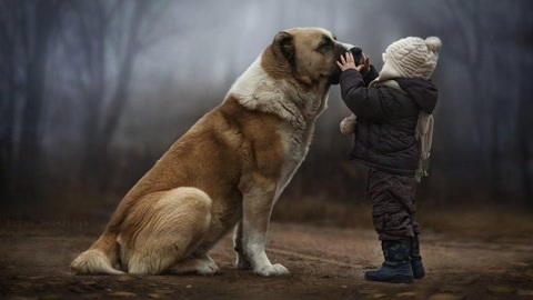 狗会带着上辈子记忆来找你吗