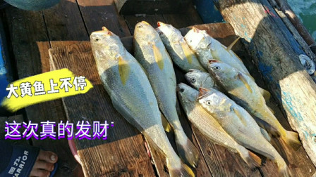 南澳岛赶海日记 老渔民望了潮水后直接去赶海，金灿灿的大黄鱼一直上，卖了近万元