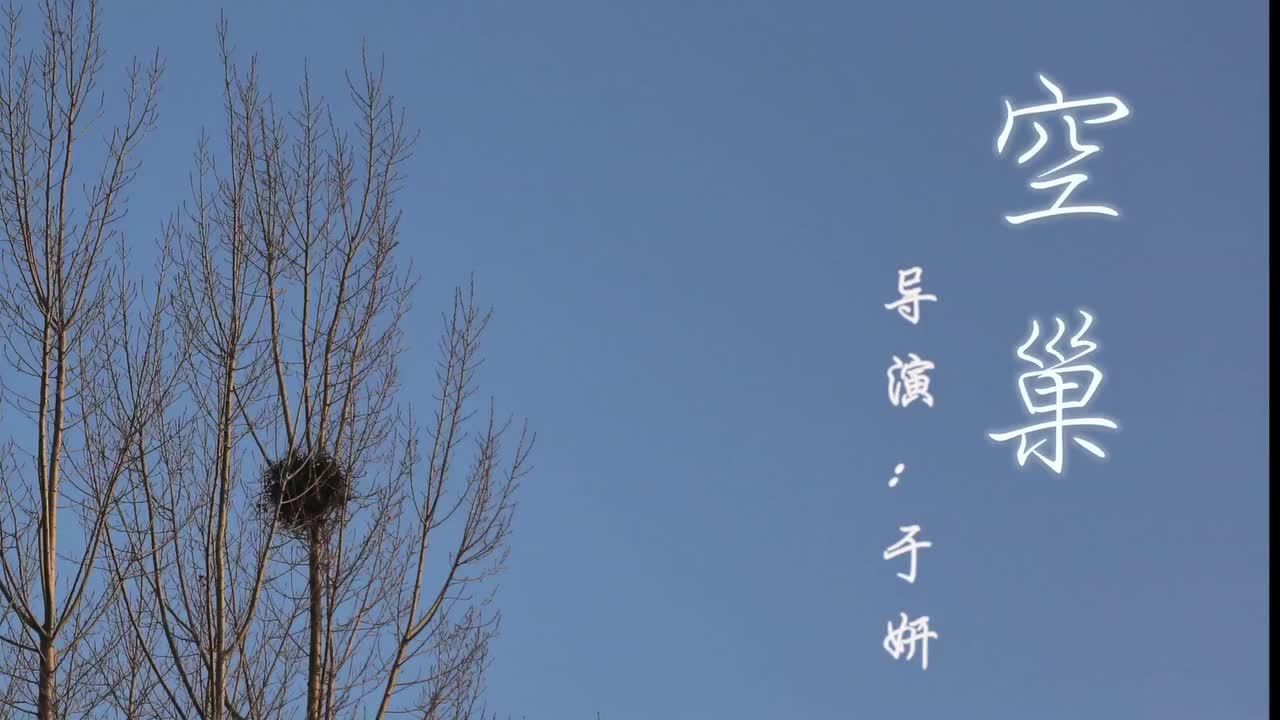 空巢