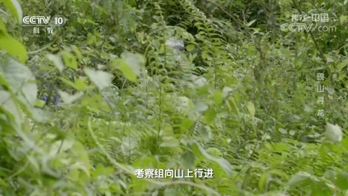 地理中国 《地理·中国》 20200522 砚山寻“龙”