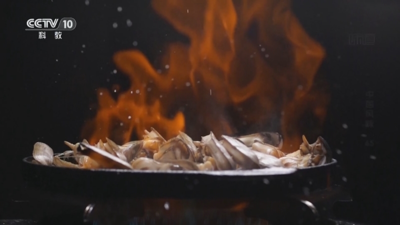 《味道》 20260409 中国风味（65）