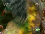 人与自然 《人与自然》 20160620 自然的运作——水的世界（下）