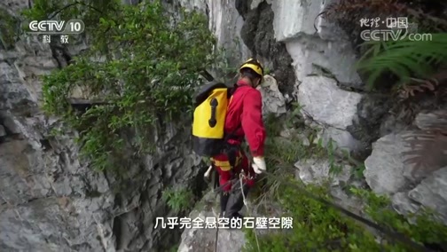 地理中国 《地理中国》 20190312 陡崖奇窟