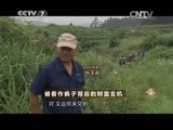 致富经 《致富经》 20150722 被看作疯子背后的财富玄机