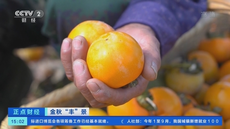 正点财经 《正点财经》 20221028 15:00