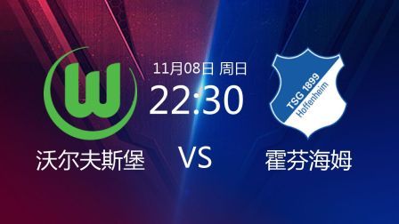 德甲联赛 20/21赛季 2020德甲联赛第7轮 沃尔夫斯堡VS霍芬海姆