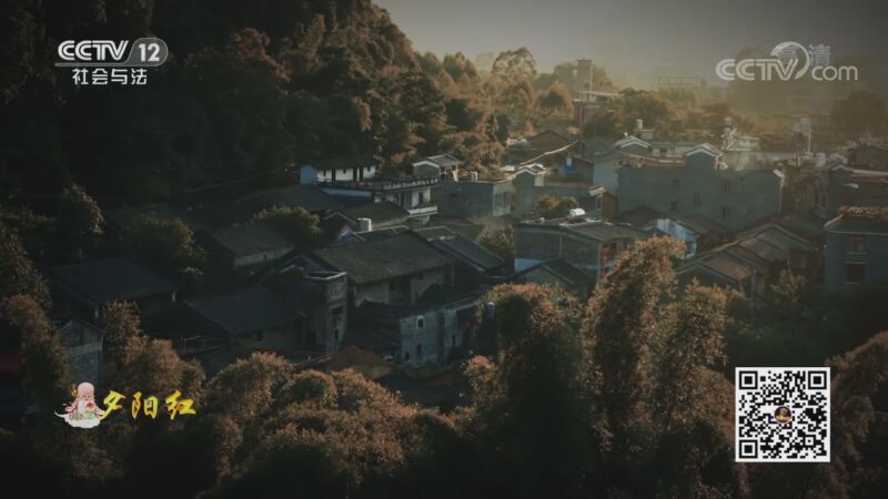 夕阳红 《夕阳红》 20201105 寿宴 第十四集 妙笔宅男