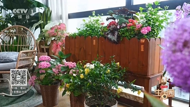 生活圈 《生活圈》 20260709