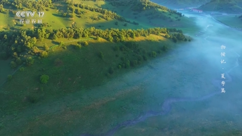 《乡土中国》 20260221 物候记·夏季篇