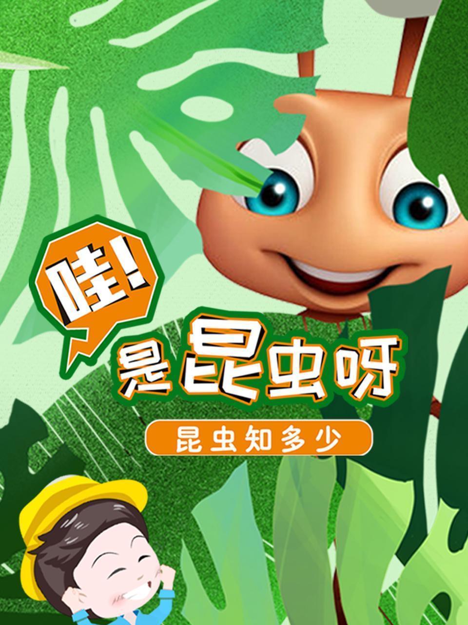 哇！是昆虫呀！