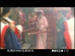 ：风尘女子的跌宕传奇
