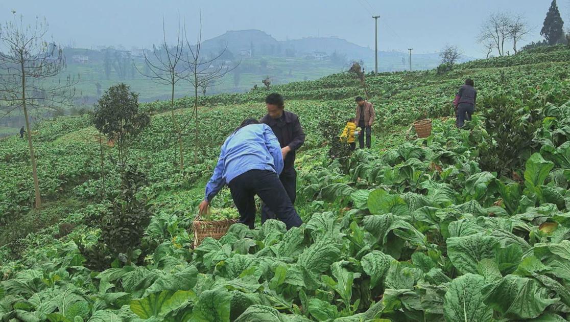 美丽乡村 第9集