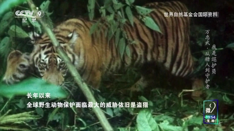 《我是巡护员》 第三集 万忠武·从猎人到守护者