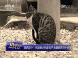 热线12 《热线12》 20170414 陕西汉中：老友施计拐走孩子 夫妻俩苦寻十八年