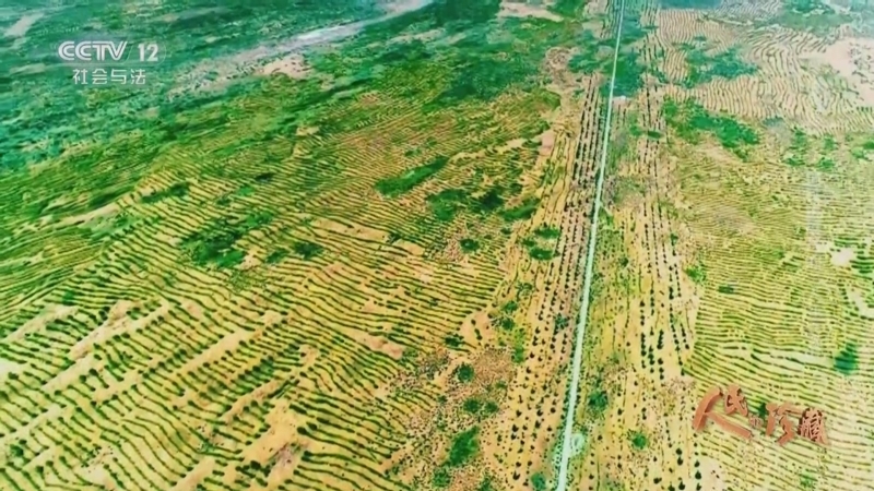 《人民的珍藏》 20241124