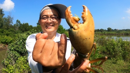 思乡渔夫赶海 被1斤多蟹王夹到有多痛？看地球哥表情就知道，一般人怕是要哭了