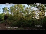 军事纪实 《军事纪实》 20150703 为了胜利——全军实战化训练纪实：小分队的逆袭③