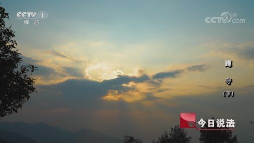 今日说法 《今日说法》 20200806 蹲守（下）