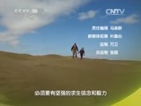 原来如此 《原来如此》 20150517 荒漠求生