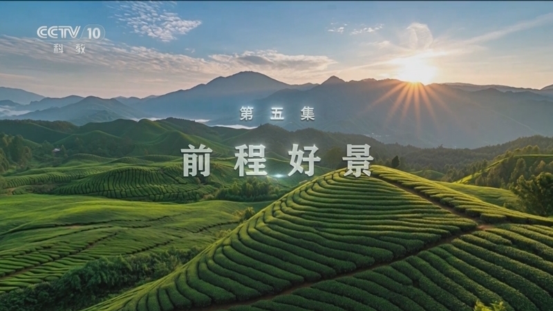 《逐梦山水》 第5集 前程好景