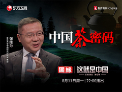 这就是中国 中国茶密码