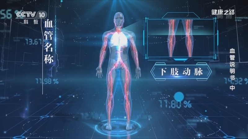 健康之路 《健康之路》 20220311 血管说明书（中）