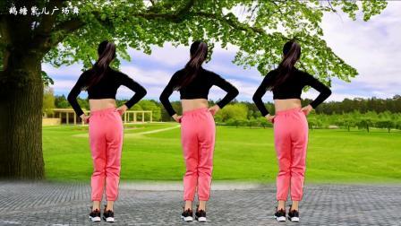 每天做动感甩脂，背面健身操《九妹dj》爆汗减肥