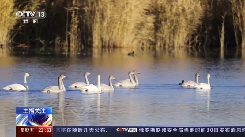 24小时 《24小时》 20230331