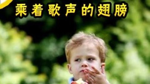 胎教音乐 第17周 乘着歌声的翅膀
