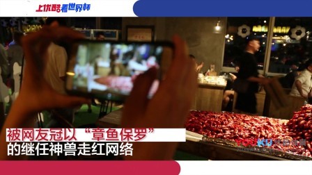 足球大虾瞎操心 世界杯头号网红“瞎操心二世”猜中冷门 宴请球迷5000只小龙虾